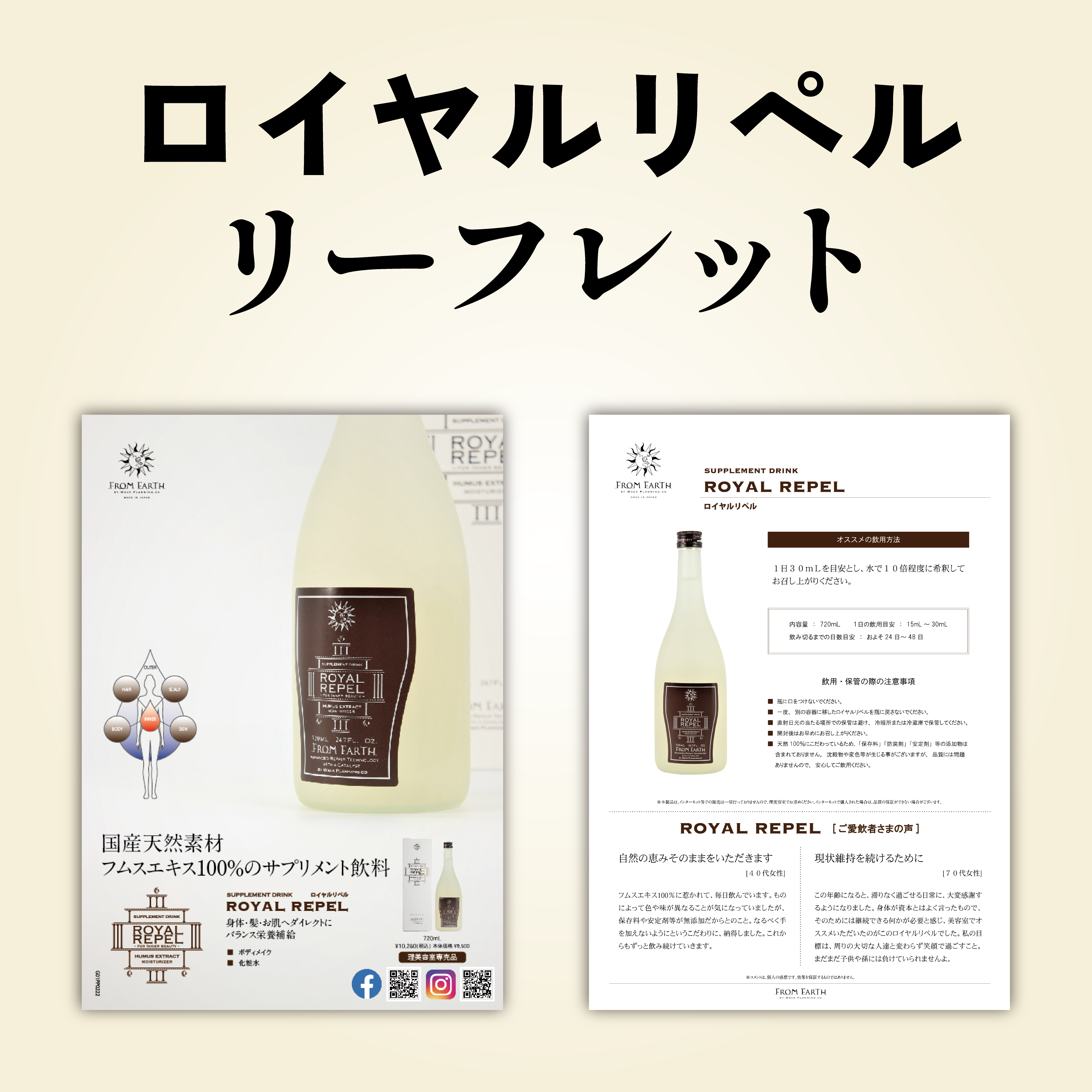 ロイヤルリペル リーフレット