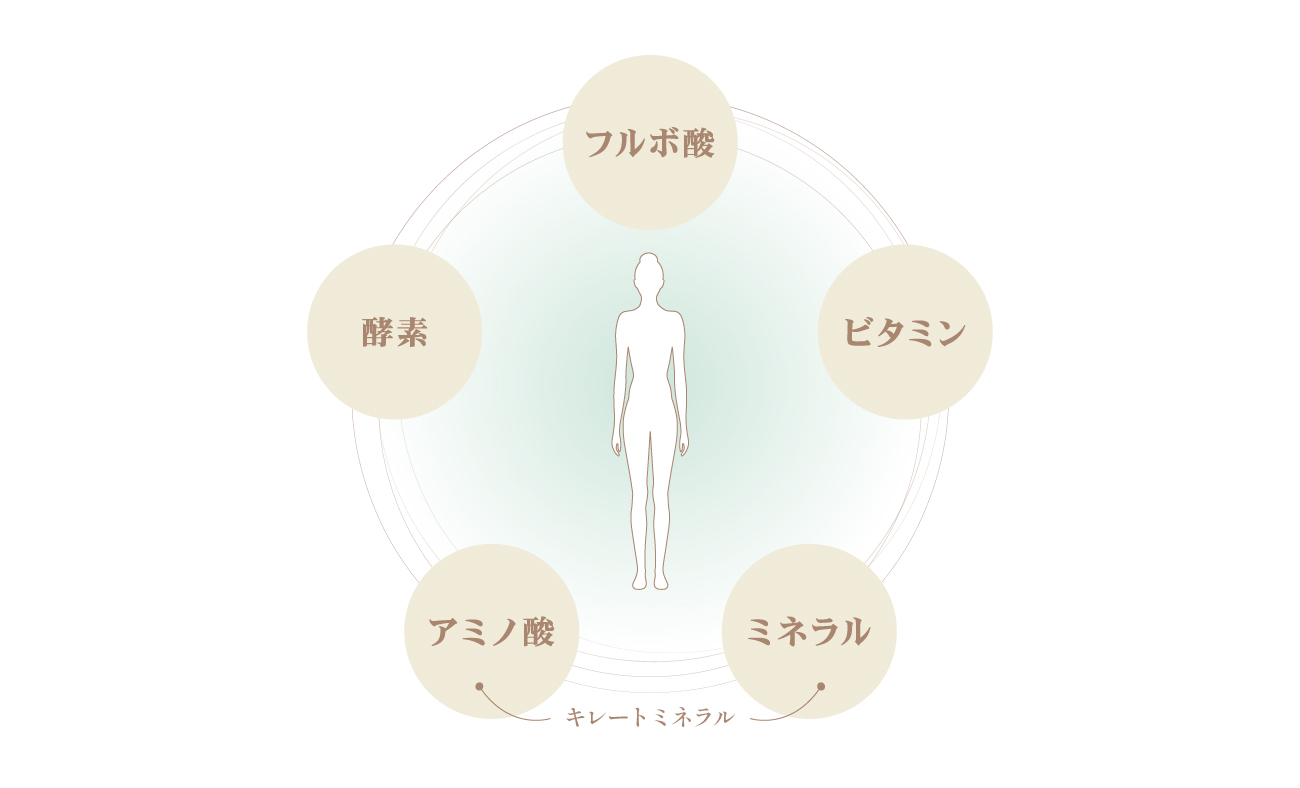  ブラシ説明画像